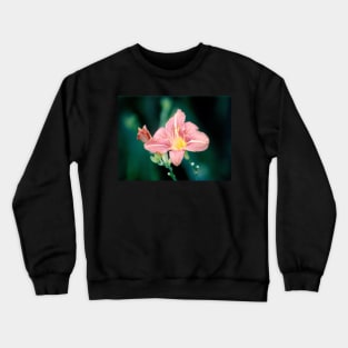 Daylily (Hemerocallis) Crewneck Sweatshirt